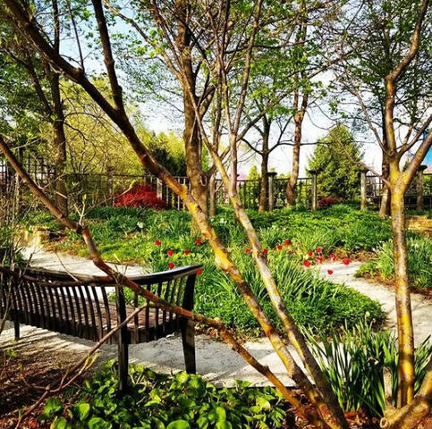White Water Gardens | Colleen Sehy